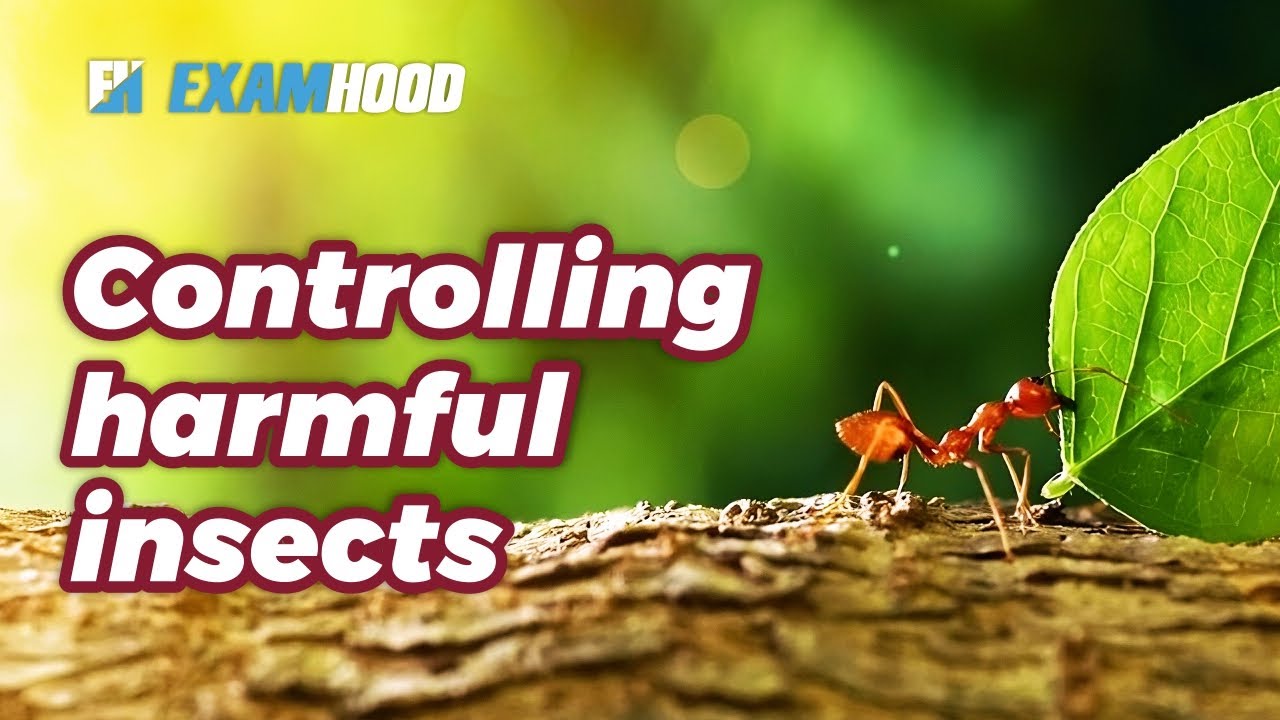 Methods of Controlling Harmful insects in Agriculture