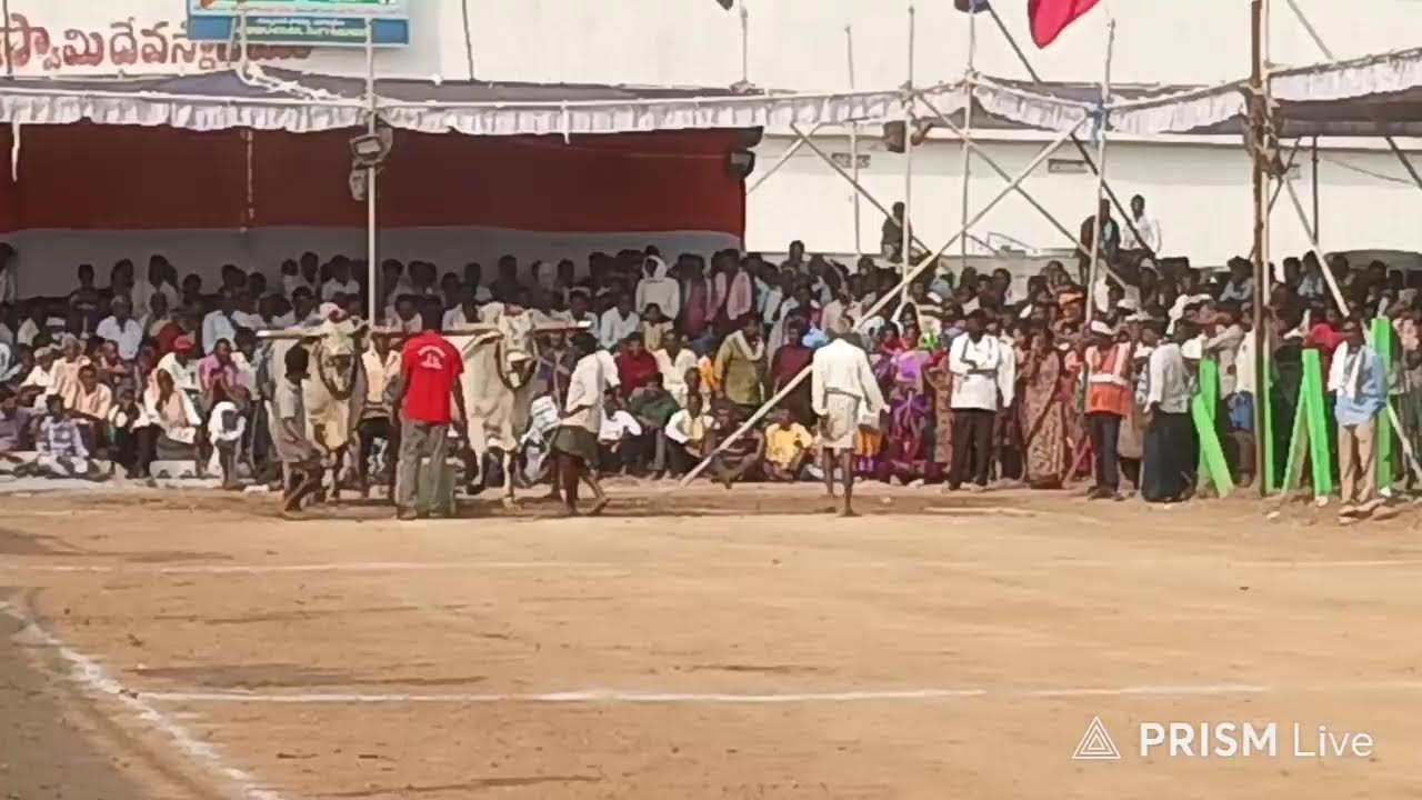 మేళ్లచెరువు7వ శ్యామల మస్తాన్ రెడ్డి గారు   గంగవరo