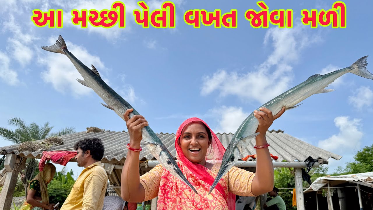 આજે તો બધાય કરતા સુરમાઈ.કાગડા ફીસ આવી 🐳 Big tree 🌳 dariyai khedut@desirasoikathiyawadi 