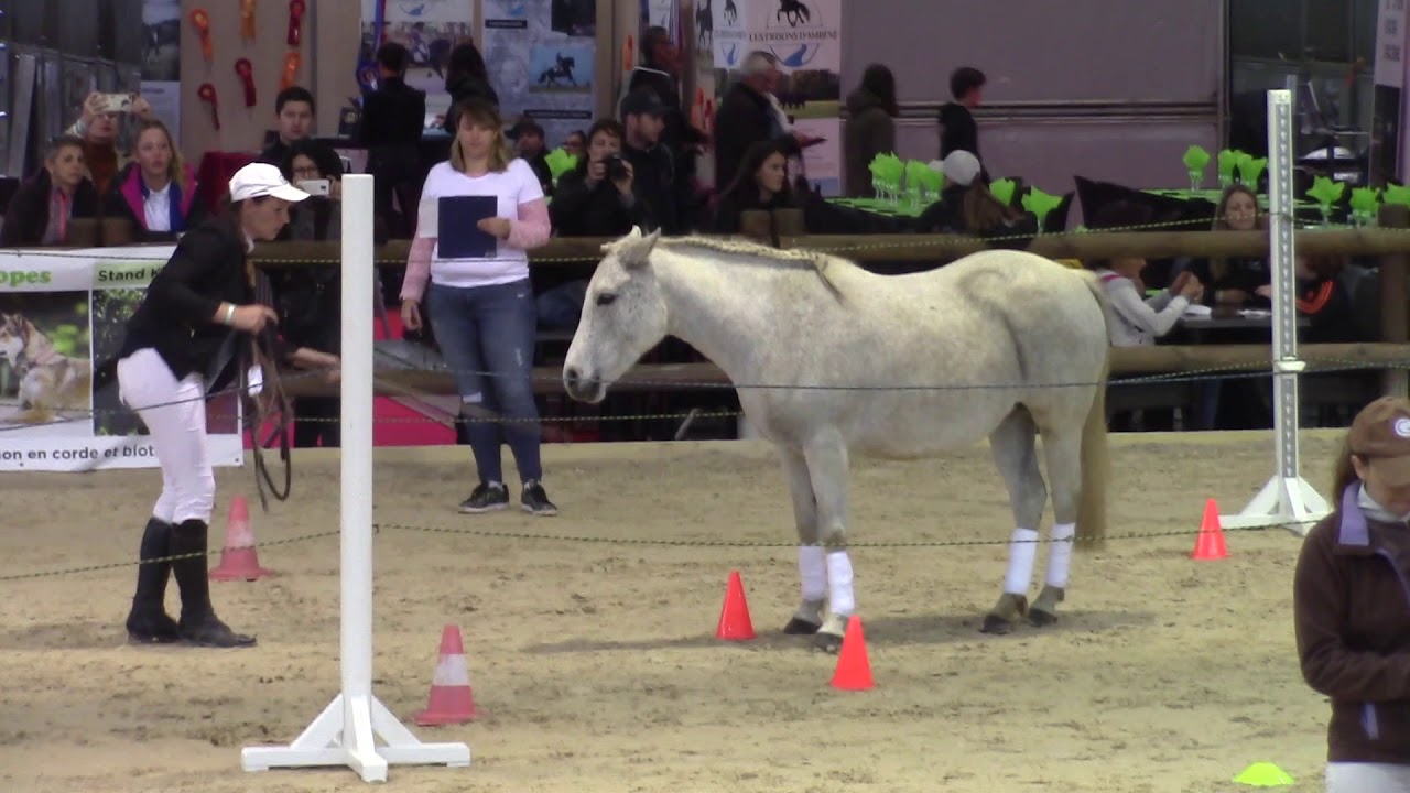 Equifeel  Equita'Lyon 2019, 1ère place
