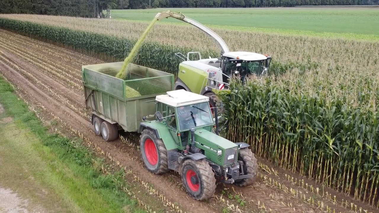 Mais häckseln 2020 | John Deere 6R | Fendt 611 LSA | Case IH CS 120 | Fendt 310 Vario | Case IH 856
