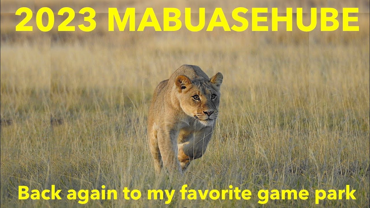 2023 Mabuasehube trip: Discover Mpayatutlwa, Mabuasehube, Kgalagadi