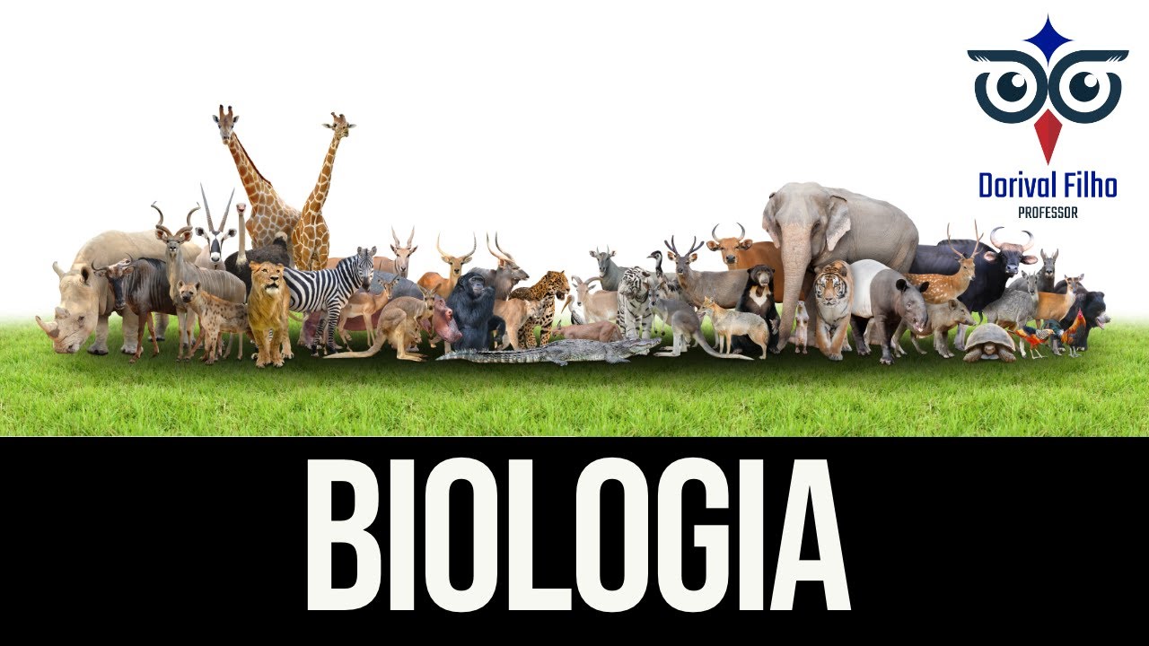 Glicólise e ciclo de Krebs