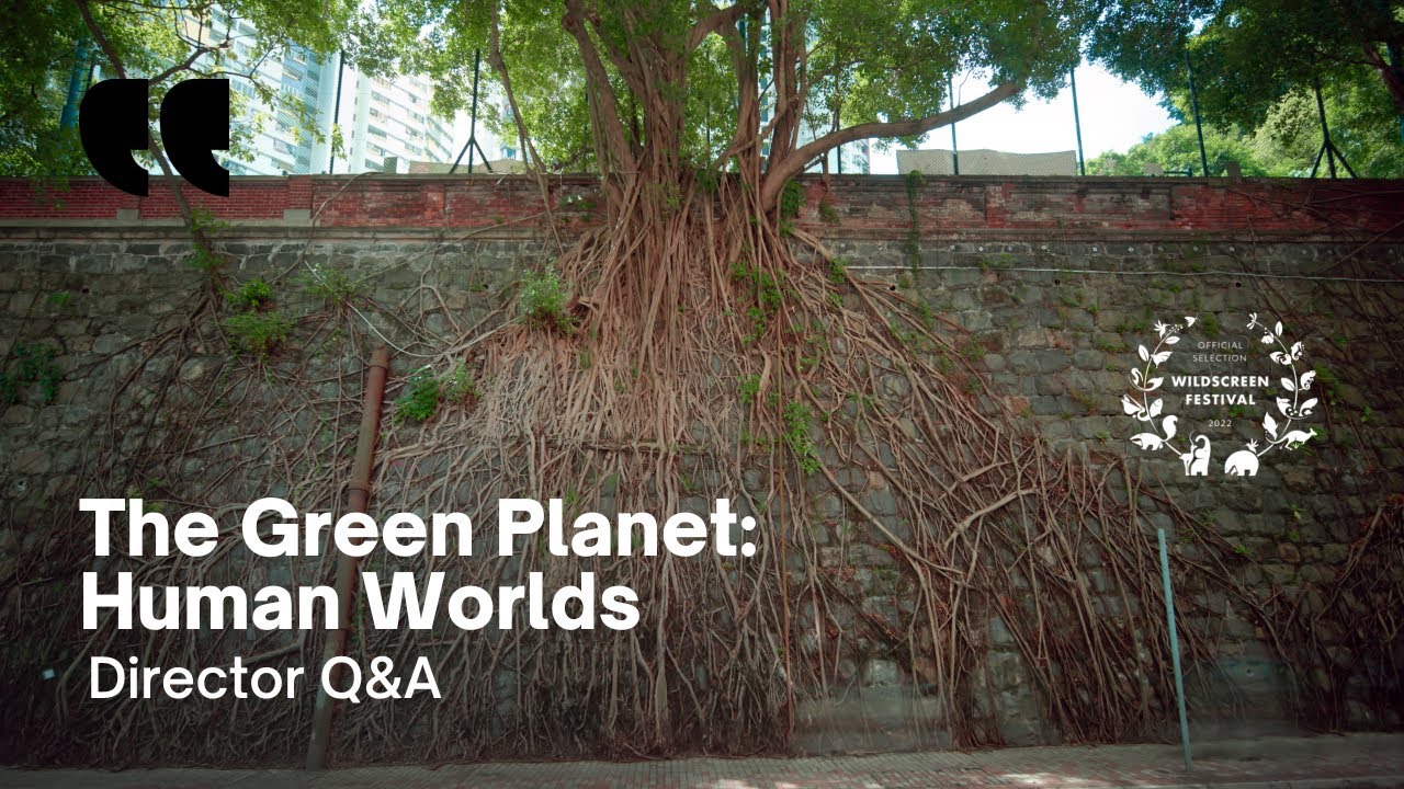 Lis Oakham explains ‘Tree Time’ in The Green Planet: Human Worlds | Director Q&As