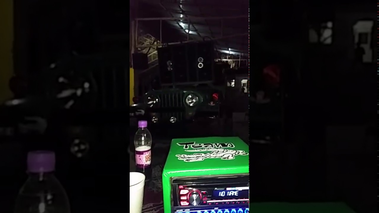 El cocodrilo a 12voltio