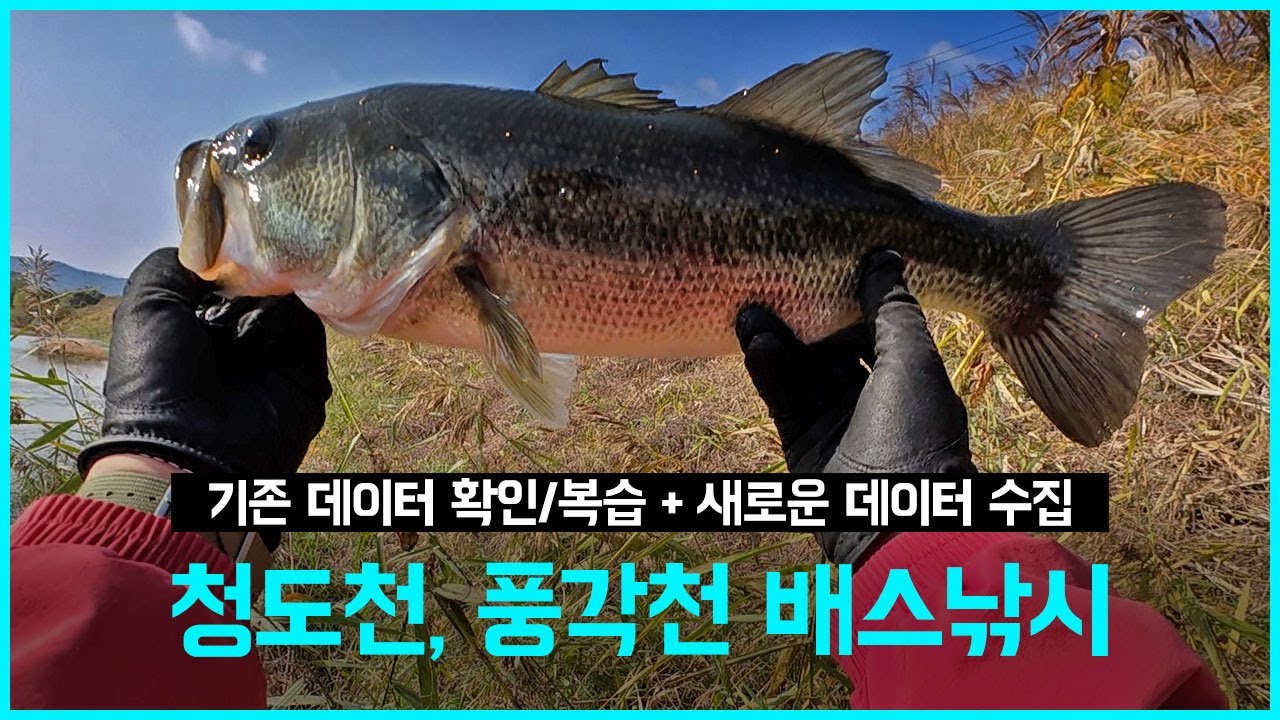 [배스낚시] 늦가을 