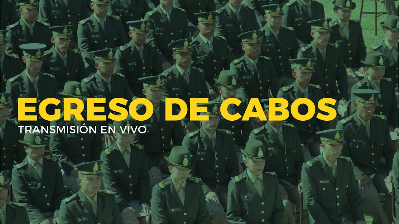 EGRESO DE CABOS Y CABOS ARTÍCULO 11