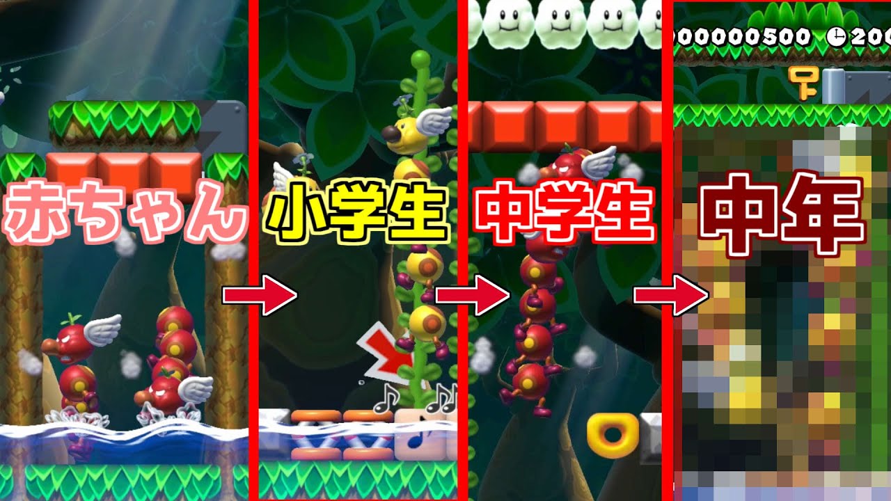 ハナちゃんを飼育!!中年になった姿がこちらです【マリオメーカー２実況】