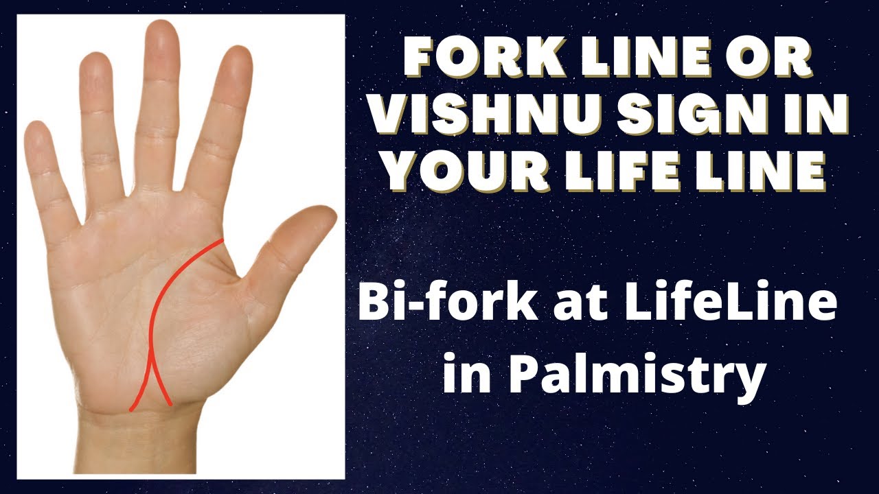 Bi-Fork Life Line in hand Palmistry | Fork line or Vishnu Sign in your life line | Money Lines