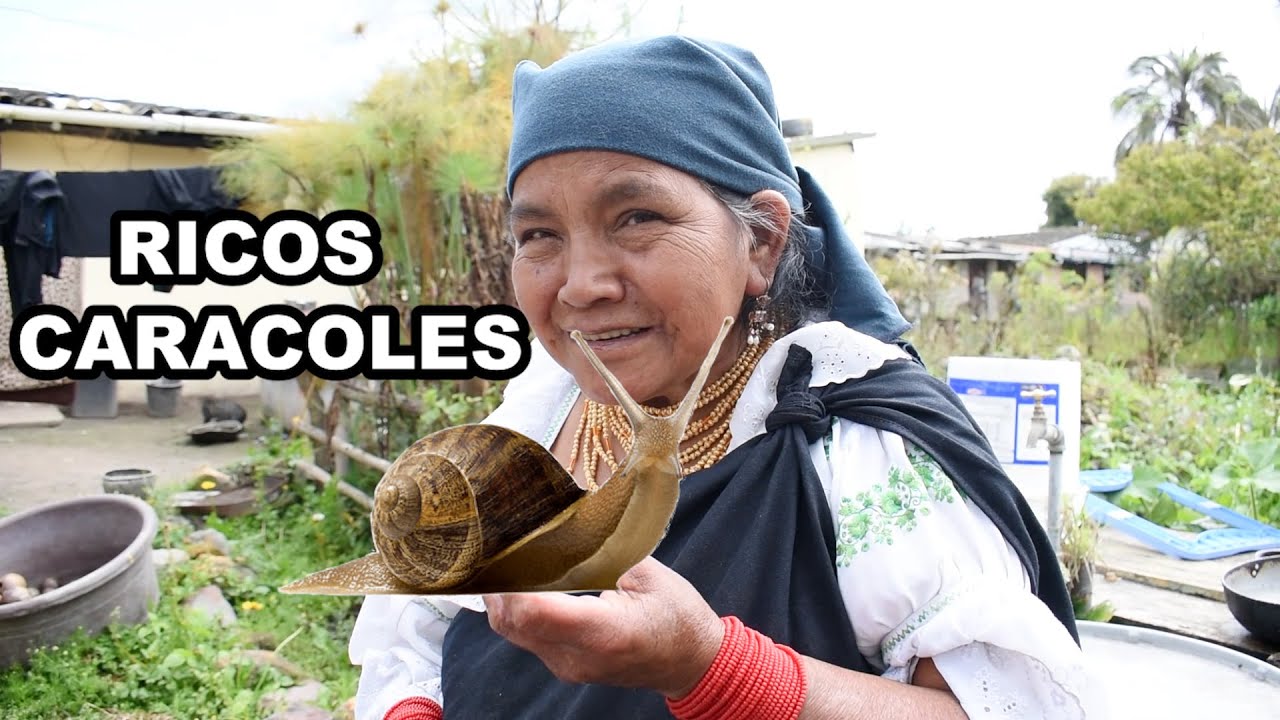 Preparé unos Ricos Caracoles de Campo - MAMÁ JOSEFA