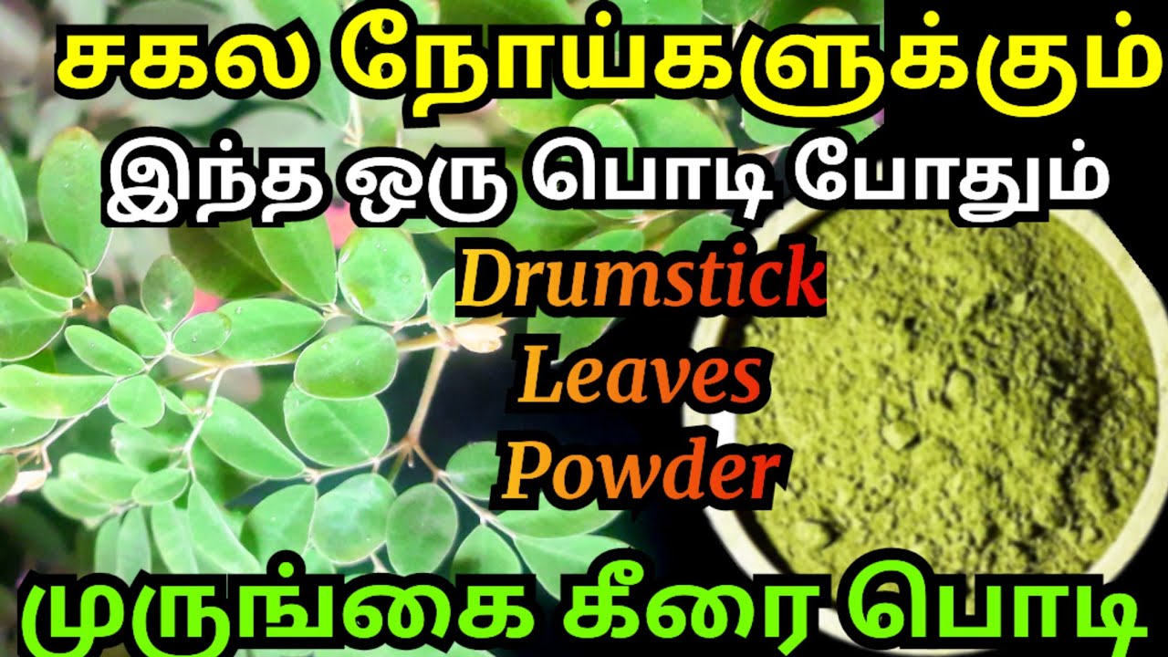 முருங்கை கீரை பொடி நன்மைகள்/murungai keerai podi/முருங்கை இலை பொடி/murungai powder/moringa leaves