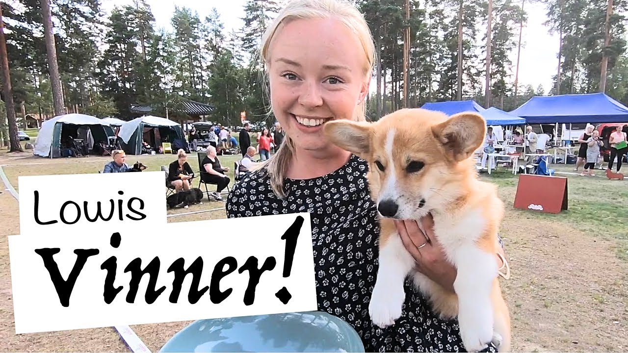 CORGI-SPECIAL i Morokulien 2019 - Lowis VINNER!
