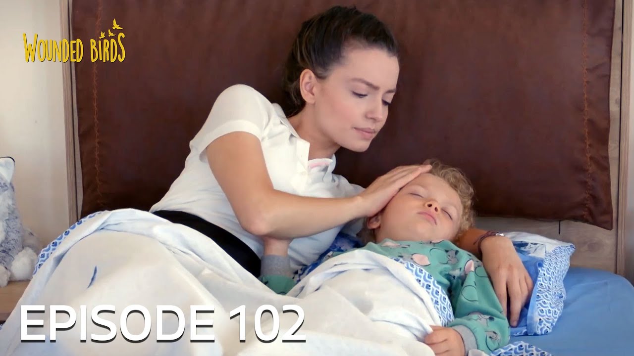Wounded Birds | Episode 102