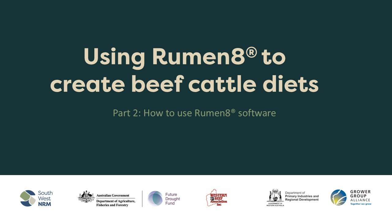 Using Rumen8 software to create cattle diets - Part 2 - How to use Rumen8