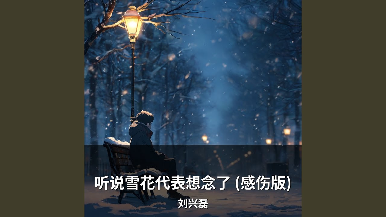 听说雪花代表想念了 (感伤版)