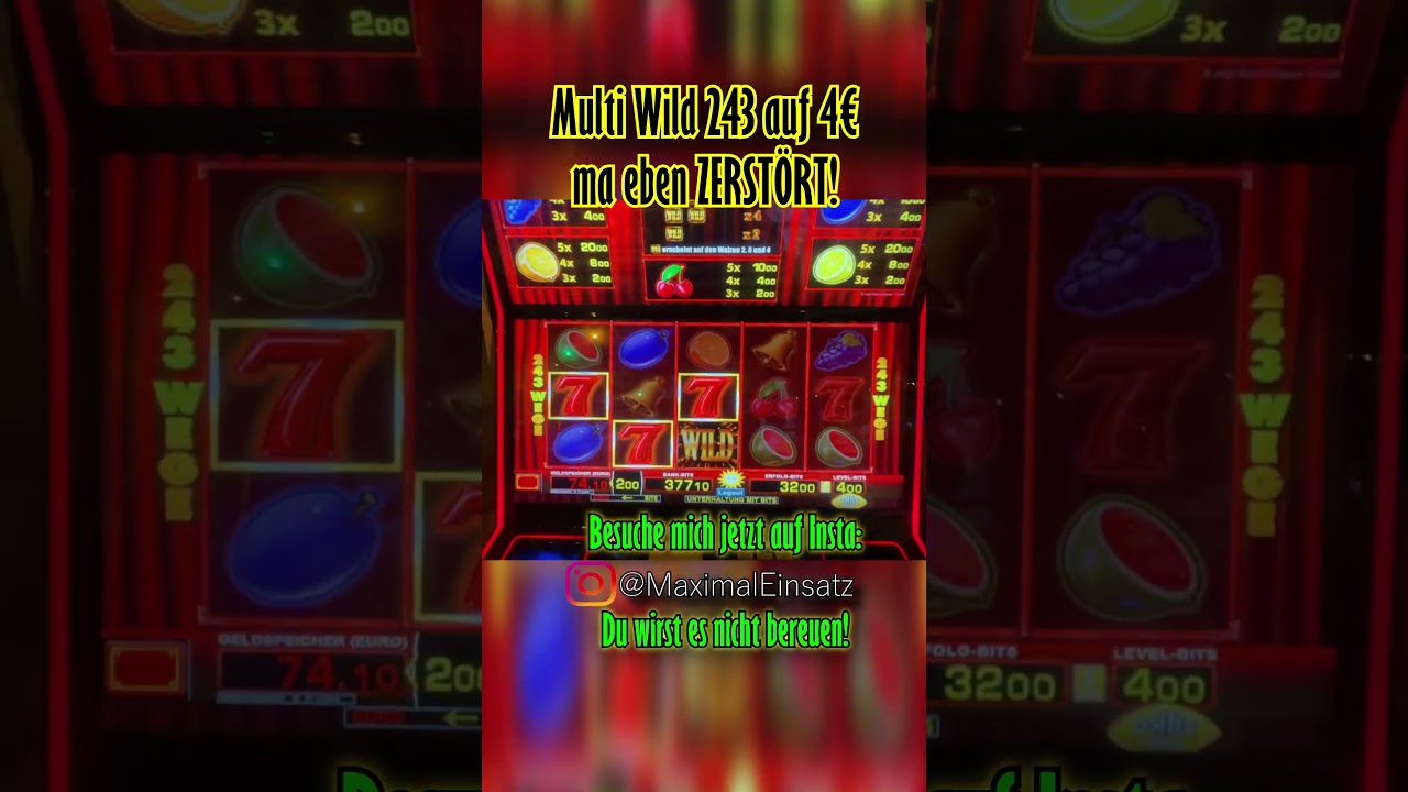 4 EURO FACH Einsatz Multi Wild 243 mit 