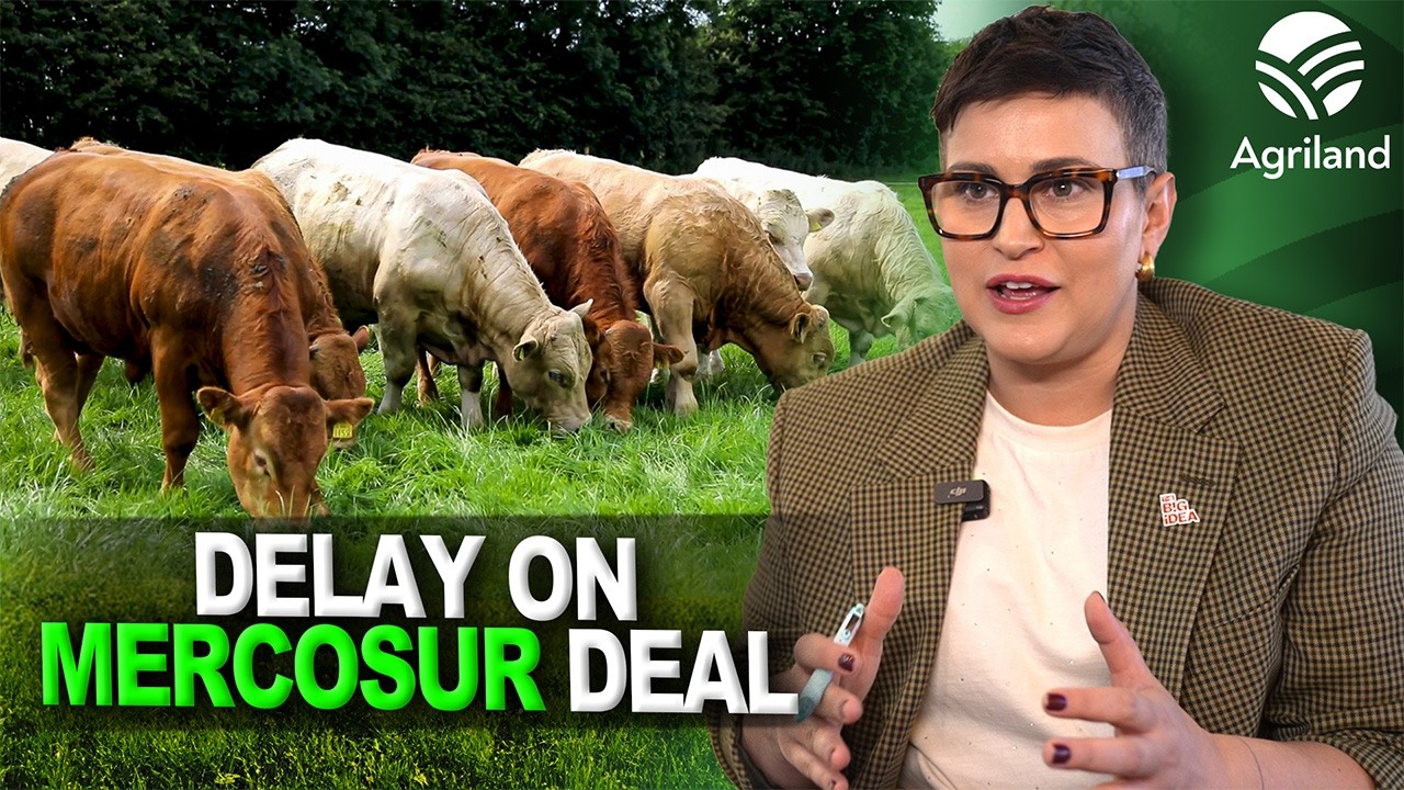MEP Maria Walsh on referral of Mercosur deal to courts