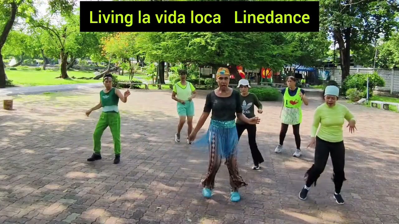livin la vida loca linedance