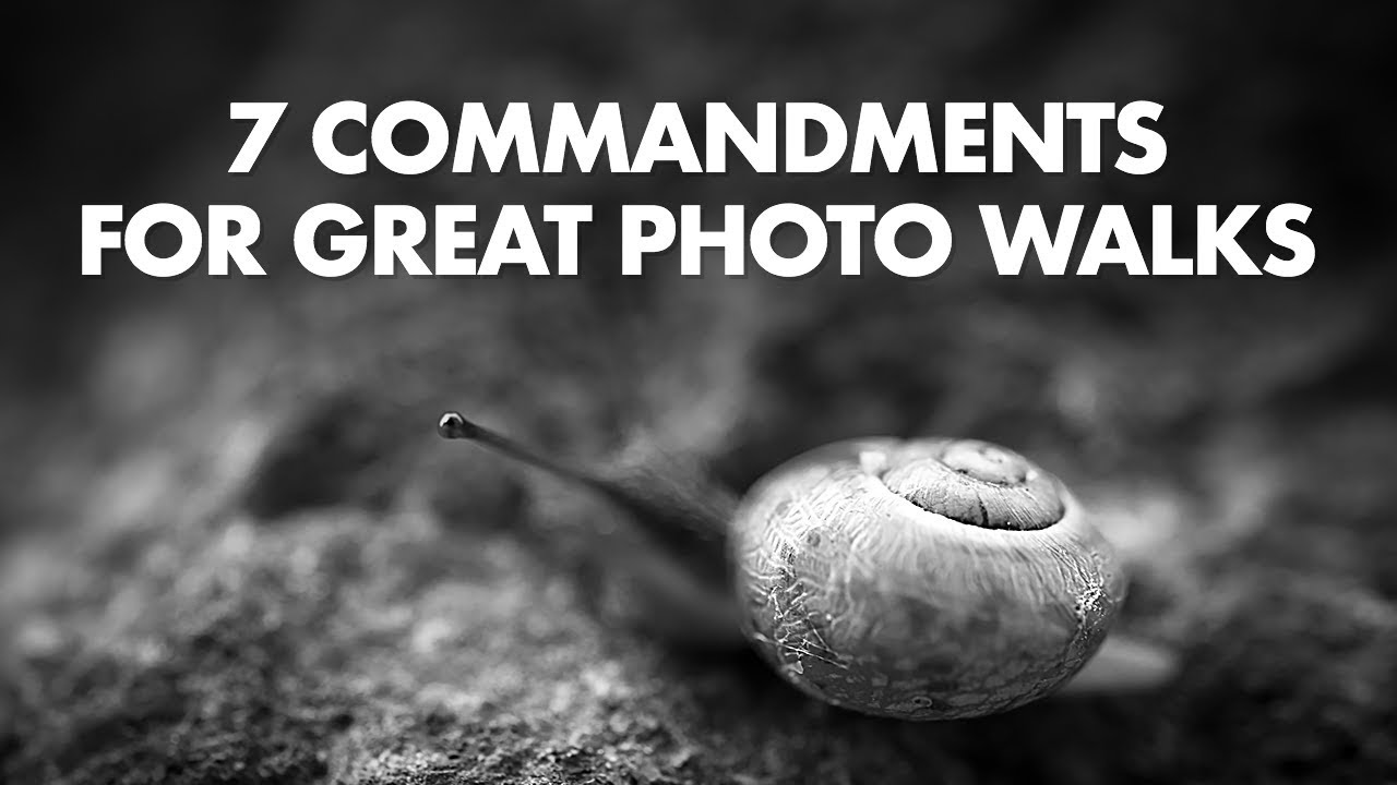 7 Commandments for Great Photo Walks
