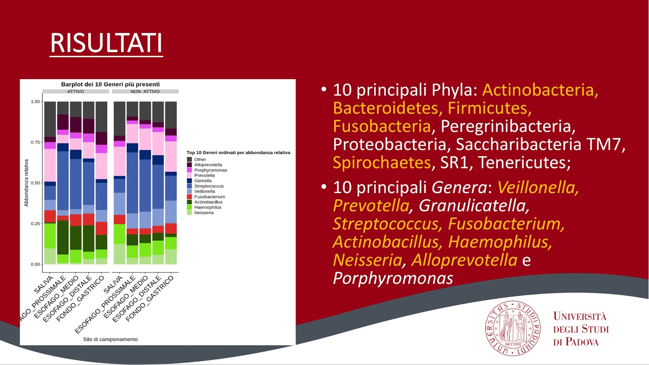 Esofagite Eosinofila e Microbiota