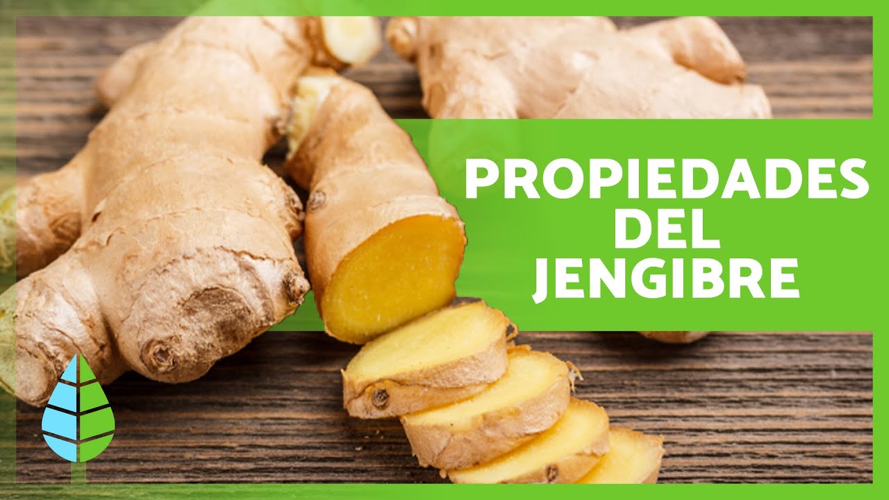 BENEFICIOS del JENGIBRE ✅ (Propiedades, Para Qu&eacute; Sirve y C&oacute;mo Tomarlo)