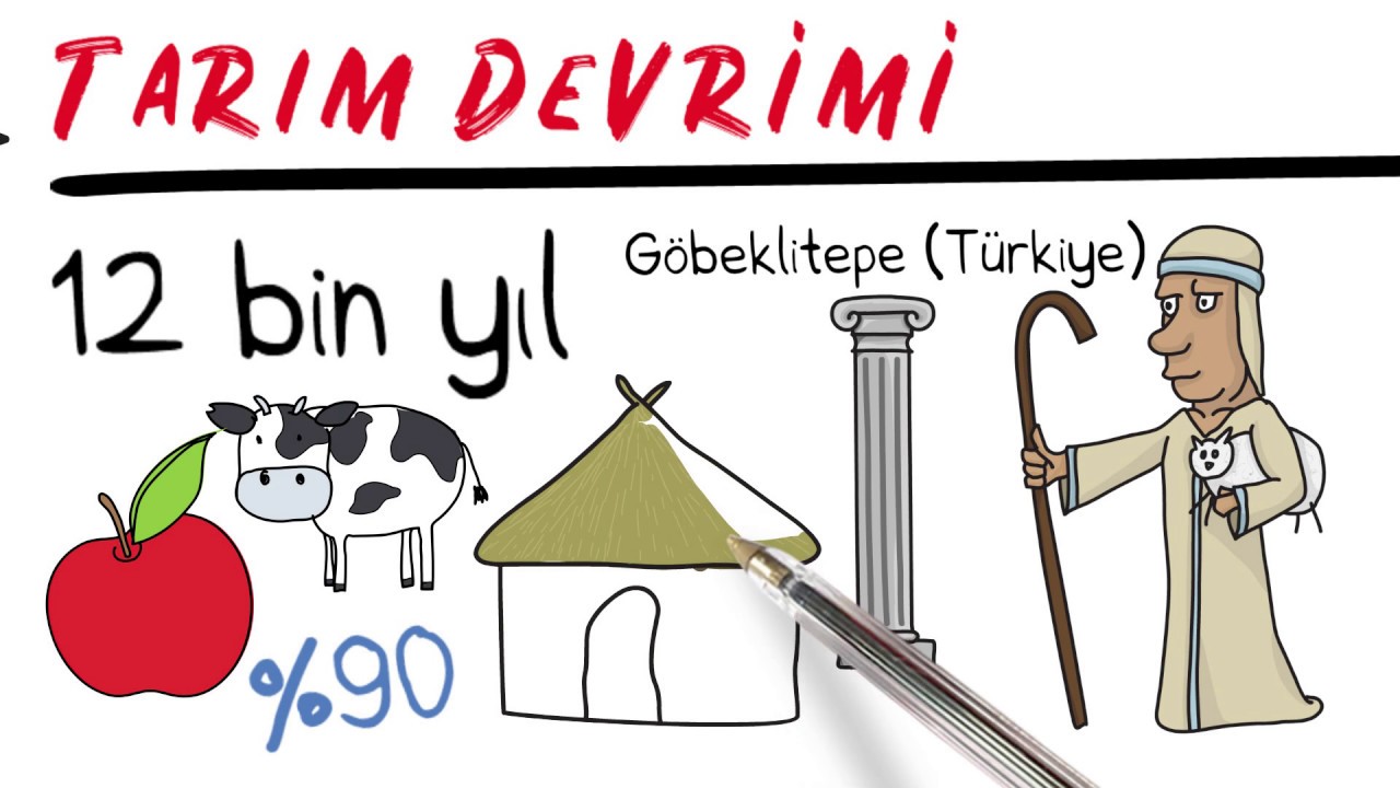 İnsanlığın kısa tarihi 🌍  SAPIENS