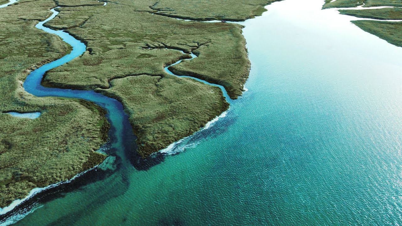 Entre terre et mer