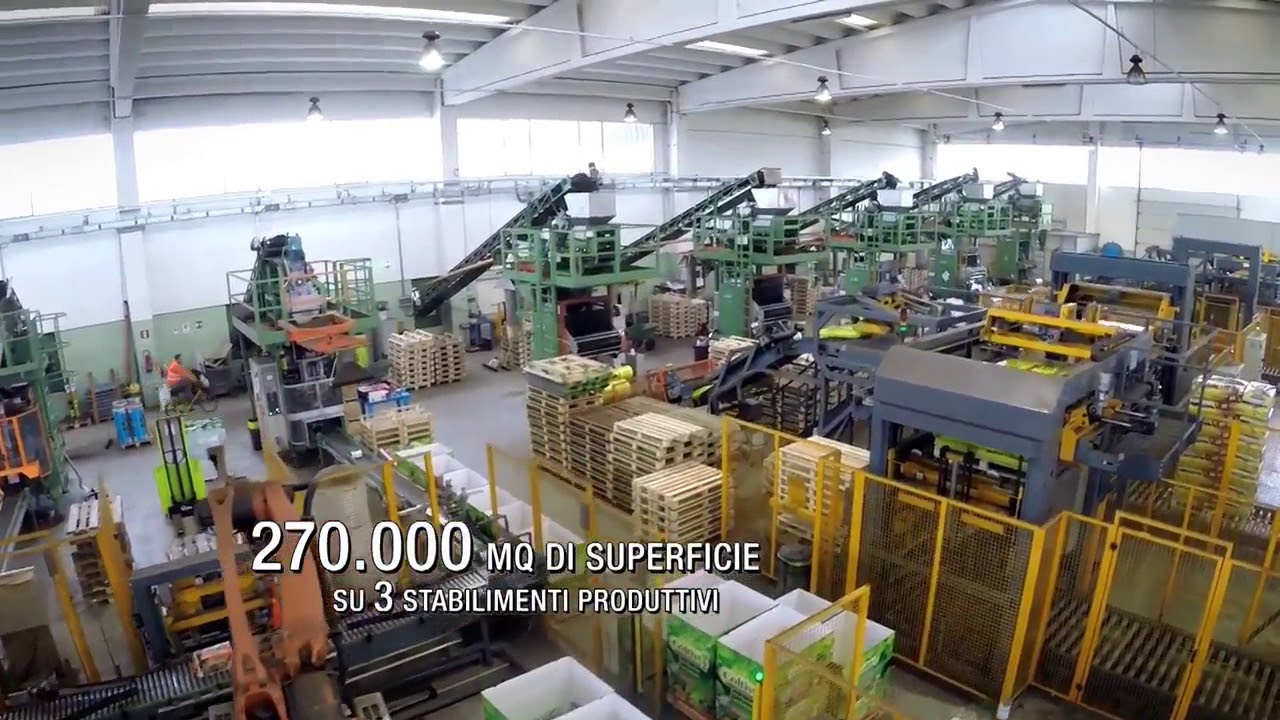 Vigorplant Corporate Video 2016