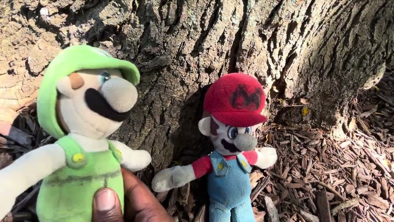 Mario and Luigi go to the park 