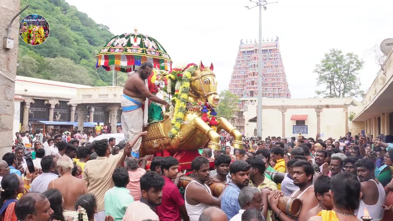 விஜயதசமி குதிரை வாகனம் புறப்பாடு