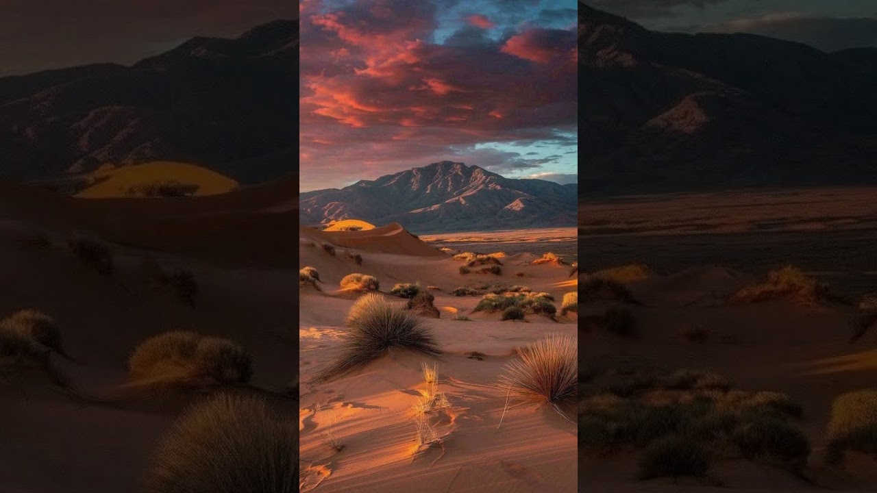 #شرح كتاب الروض المربع #74