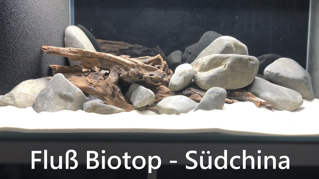 Fluss Biotop einrichten - Südchina (Teil 1 - Hintergrundinformationen & Hardscape)