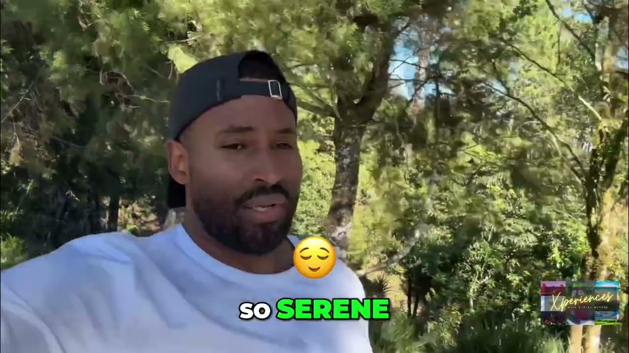 Rappelling Orchid Care: Extreme Mountain Plant Maintenance! 