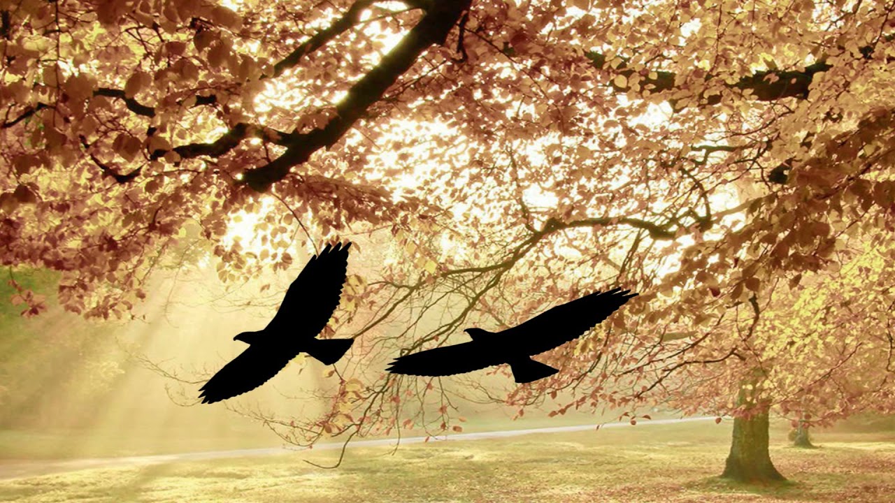 Ady Endre - H&eacute;ja-n&aacute;sz az avaron - versdal