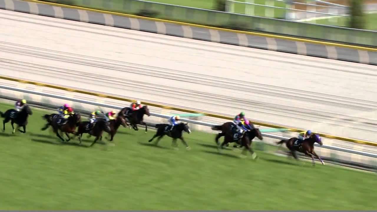 後藤浩輝騎手　岩田騎手の妨害により落馬