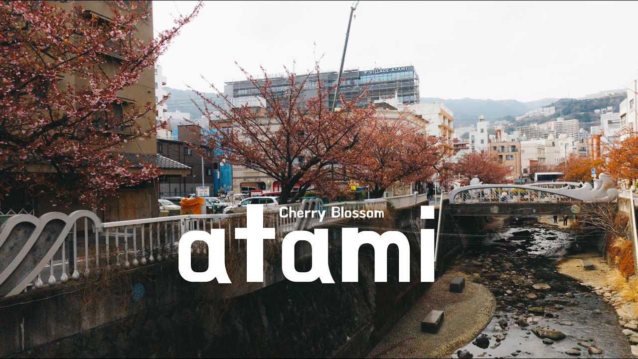Living in Japan Vlog #4 🇯🇵 | Japan's Earliest Cherry Blossom, Atami, Shizuoka February 2026 🌸