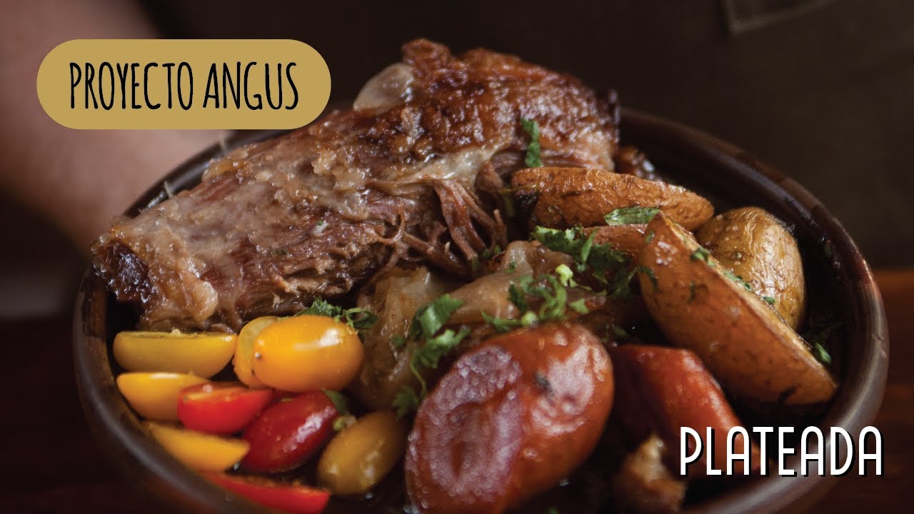 Proyecto Angus: Capítulo 16 “Plateada
