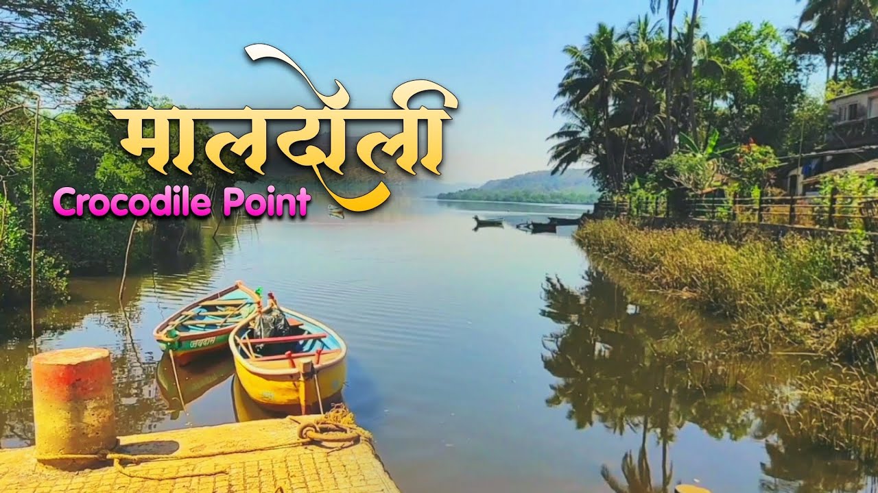 मालदोली मगर सफारी | Crocodile point of Maldoli | Chiplun Konkan Tourism