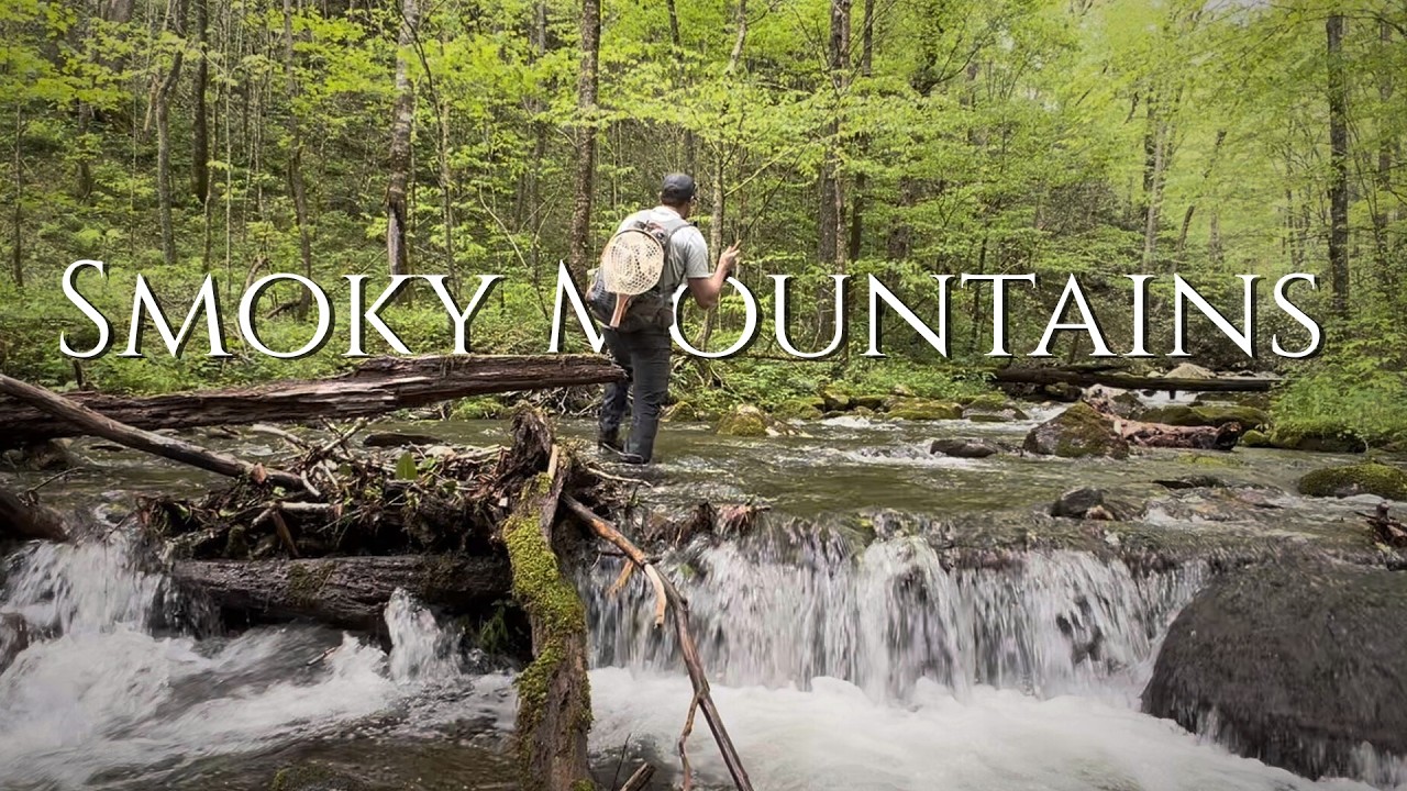 Fly Fishing Hidden Headwaters of the Great Smoky Mountains