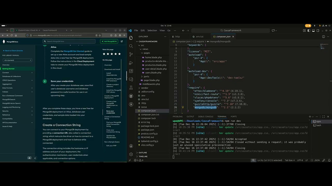 Causa Framework - Integracion con MongoDB