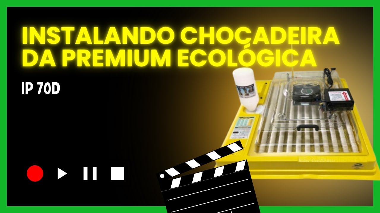 Instalando a minha Chocadeira IP 70D da Premium ecológica e Divisórias para eclosão! 🐣