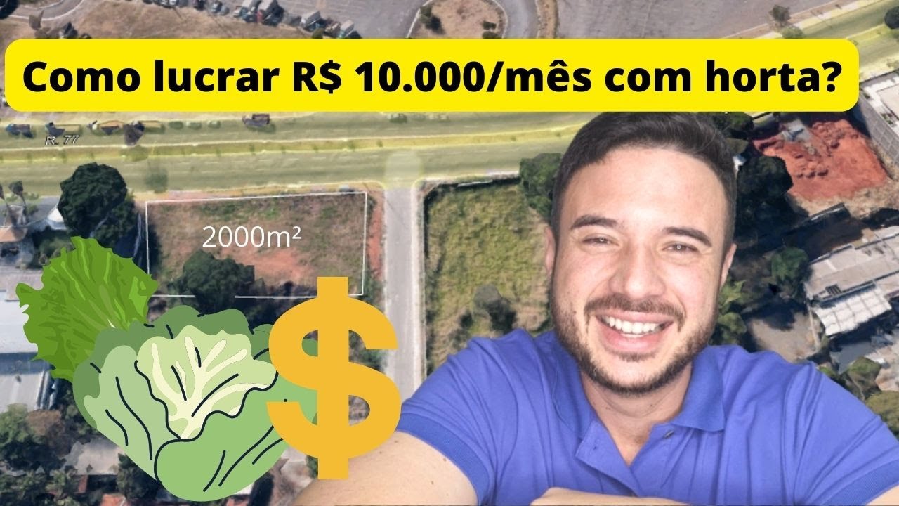 Como lucrar R$ 10.000 (10K) por mês com horta?  Como analisar o potencial de uma área para hortaliça