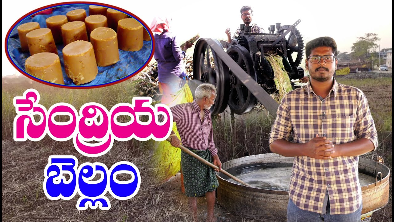 Organic Jaggery by IITian || సహజ బెల్లం తయారీ - మార్కెటింగ్ || Uppala Sangram || 9030900950