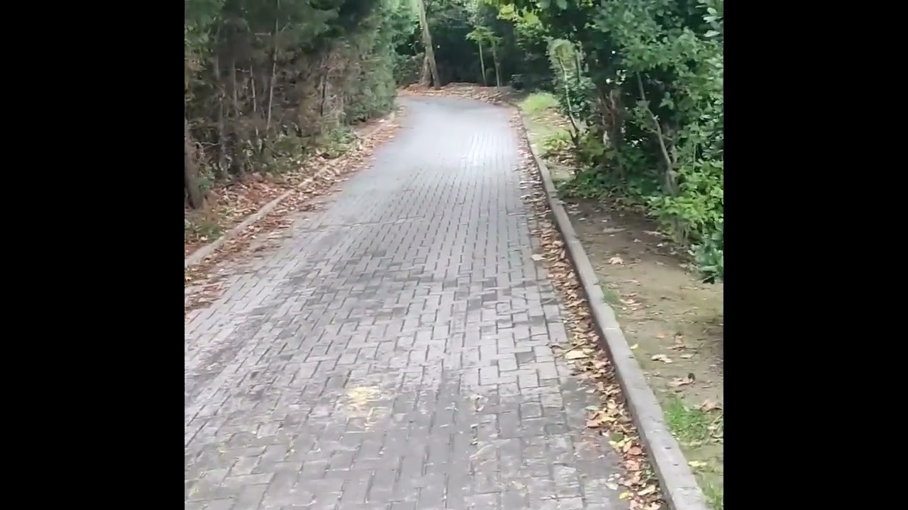 AŞK, Şiir: Özlem KORKUT   Seslendiren: Ulufer ÇELEBİ