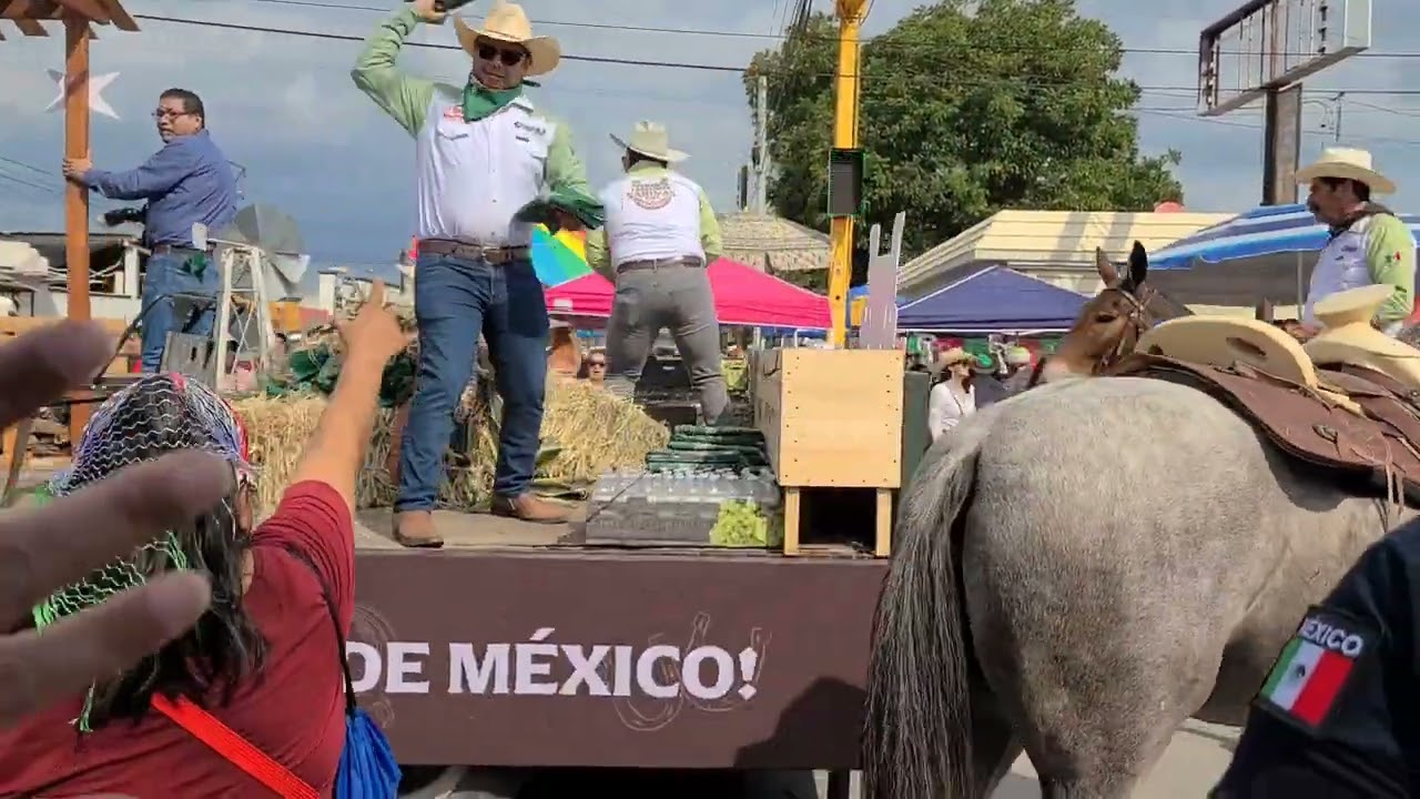 Cabalgata de Sabinas 2024!