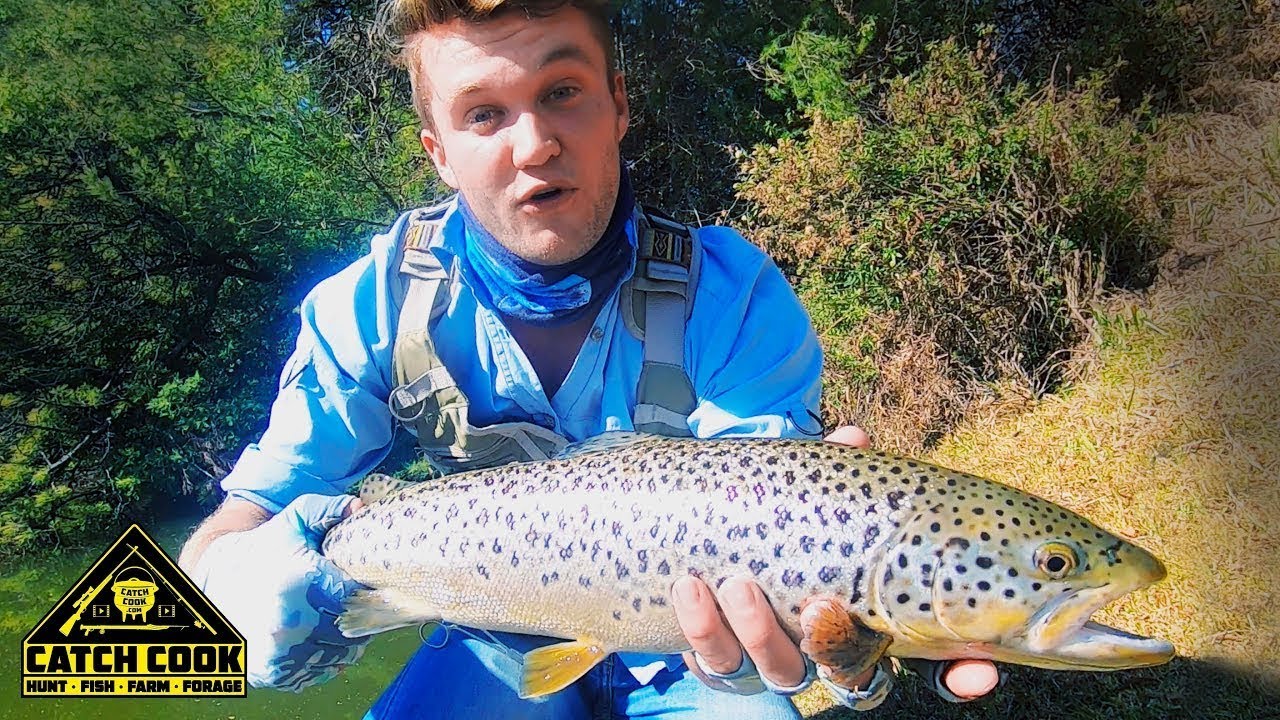 Big Brown Trout caught on my own fly + Rainbow Trout Pancakes [CATCHCOOK]Muldersdrift,South Africa