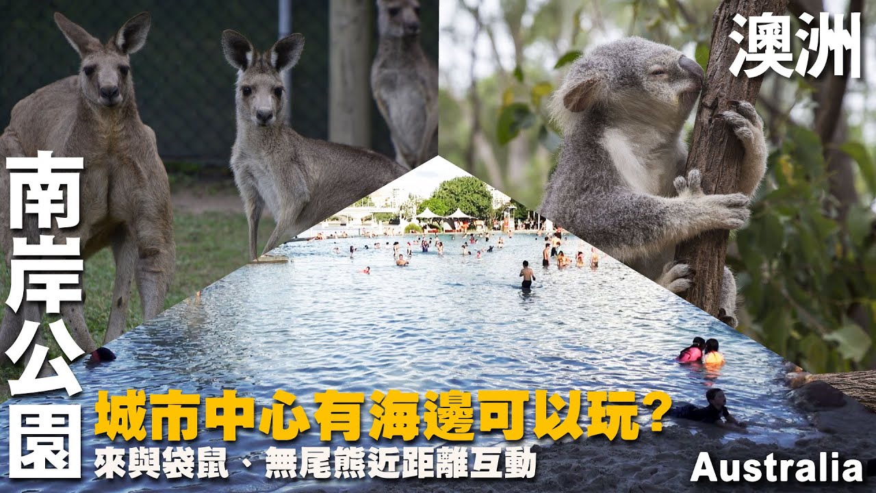 城市中心就有海邊可以玩?來澳洲人口第三大的都會與超療癒袋鼠無尾熊近距離互動 --澳洲Australia--布里斯本｜黃金海岸｜庫莎山｜南岸公園｜袋鼠角