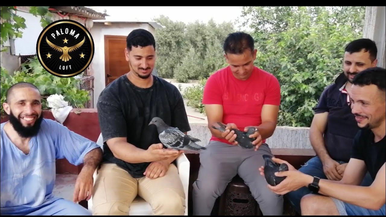 توليعة رائعة عند الطونديم  #paloma_loft في حمام المسافة الطويلة والطويل الممتاز  اللهم بارك