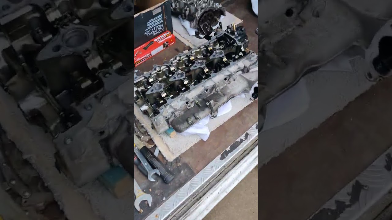 blown head gasket M9T engine