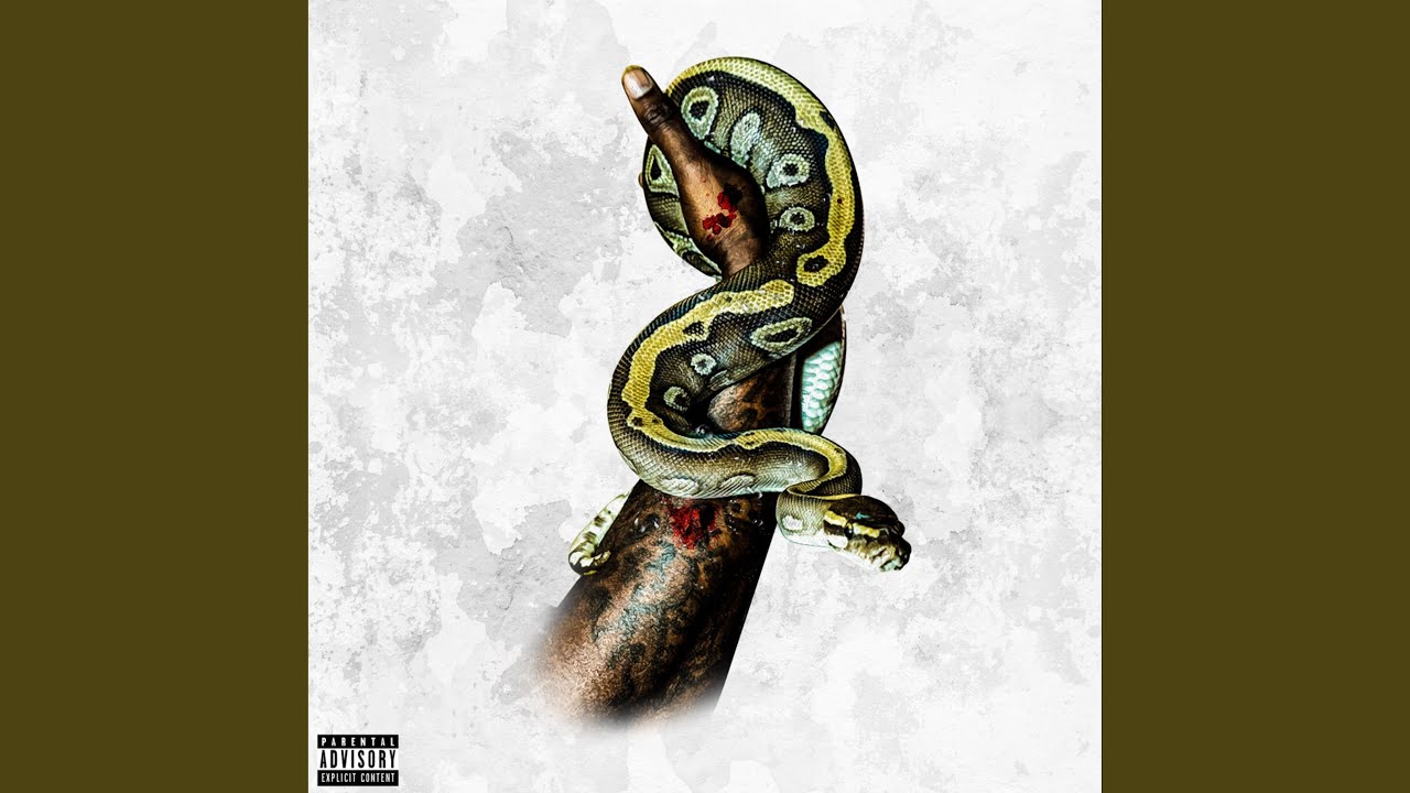 MEDUSA x SNEEZY